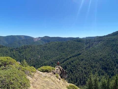 xb2ap3_large_IMG_4956.jpg.pagespeed.ic.zY2FgrlKzX - LEI Oregon - LEI Oregon